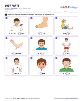 Vocabulary