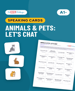 Animals & Pets: Let's Chat
