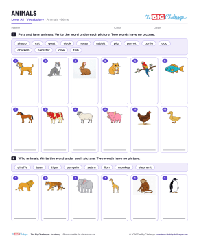 Animals