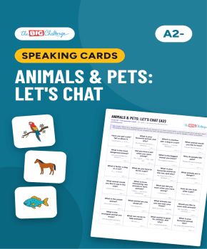 Animals & Pets: Let's Chat (A2)
