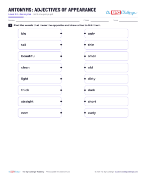 Adjectifs de l'apparence