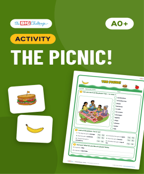 The Picnic!