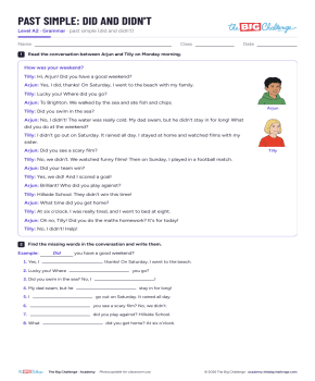 Past simple: did and didn't