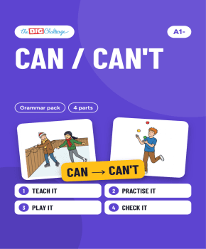 Can / can't