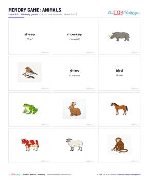 Memory-Spiel: Wildtiere, Haustiere (A1)