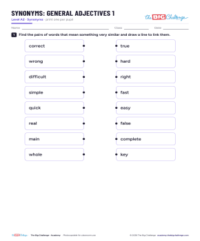 General Adjectives - 1 - A2 Synonyms