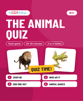 The Animal Quiz