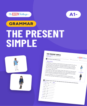 The present simple