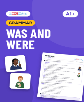 Was and were