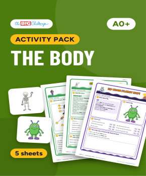 The Body Activity Pack