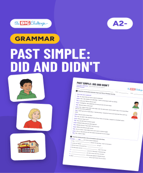 Past simple: did and didn't