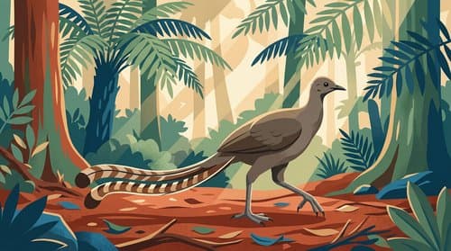Lyrebird