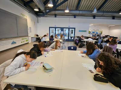 Berlin, Bettina-von-Arnim-Schule - The Big Challenge 2025 -