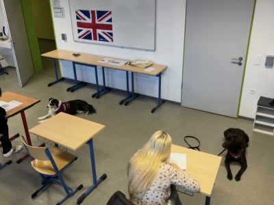 Moorhusen: IGS Marienhafe-Moorhusen
Die Schulhunde Skadi und Kayla beaufsichtigen brav die Schülerinnen und Schüler während der Big Challenge.